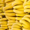 Συνταγές για νόστιμο και γλυκό λικέρ μπανάνας σε βότκα, οινόπνευμα και φεγγαρόχορτο Βάμμα αλκοόλης βότκα με μπανάνα