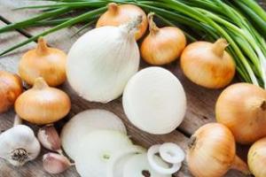 Onions: benefits and harm to the body