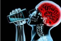 Вплив алкоголю на функціонування мозку