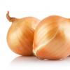Onion: health benefits and harms