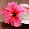 Hibiscus tea: kapaki-pakinabang na mga katangian at contraindications ng inumin Ay hibiscus kapaki-pakinabang