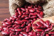 Chutné recepty na prípravu fazule na zimu: ako uchovať šaláty z červenej fazule na zimu