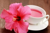 Hibiscus tea: useful properties and contraindications of the drink Is hibiscus useful