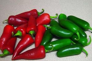 Preparing pickled hot peppers for the winter: the best recipes