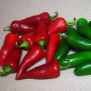 Harvesting pickled hot peppers for the winter: the best recipes
